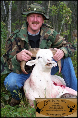 guided canada sheep hunt